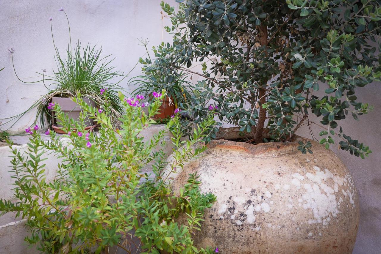 Ferienwohnung La Pileta - Grupo Califa Vejer de la Frontera Exterior foto